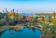 南京未来15天天气预报(南京未来30天天气预报) 南京未来15天天气预报(南京未来30天天气预报)