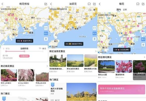 长沙天气预报30天查询，掌握天气变化，畅游星城不迷茫