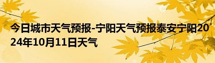 宁阳县天气预报，春日冷暖交替，出行需留意