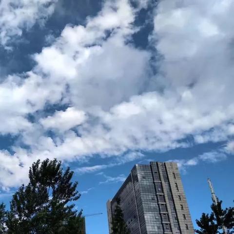 安徽合肥天气预报,一周天气趋势与生活出行指南 安徽合肥天气预报,一周天气趋势与生活出行指南