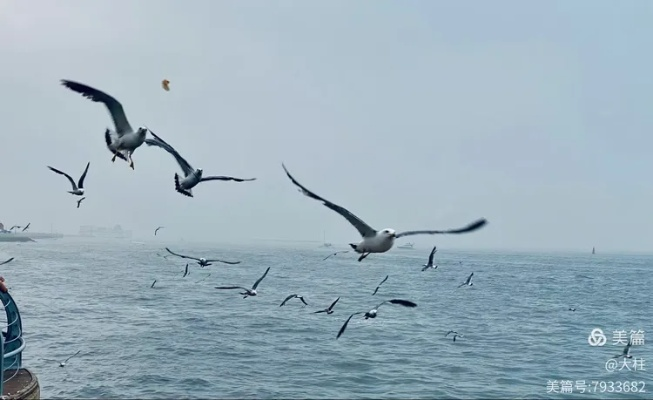 大连的天气，藏在海风里的四季情书